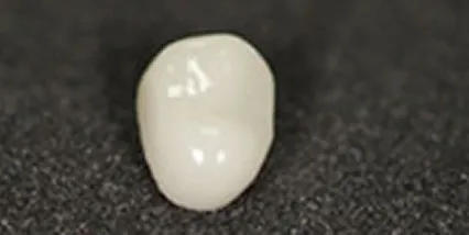 セレッククラウン